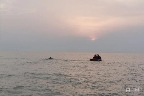 中国首次!21个小时“生死大营救”创造奇迹! 中国首次!21个小时“生死大营救”创造奇迹!