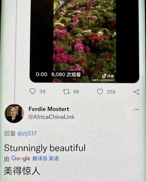 真美！赵立坚点赞贵州杜鹃花海