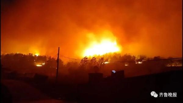 男子挖野菜丢烟头引发山火，青岛警方通报