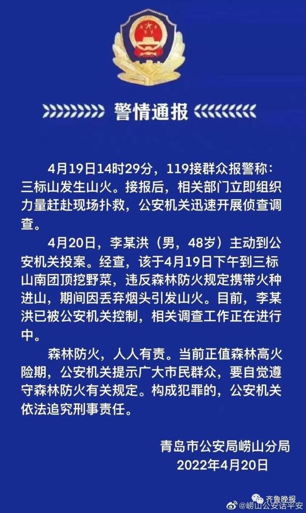 男子挖野菜丢烟头引发山火，青岛警方通报