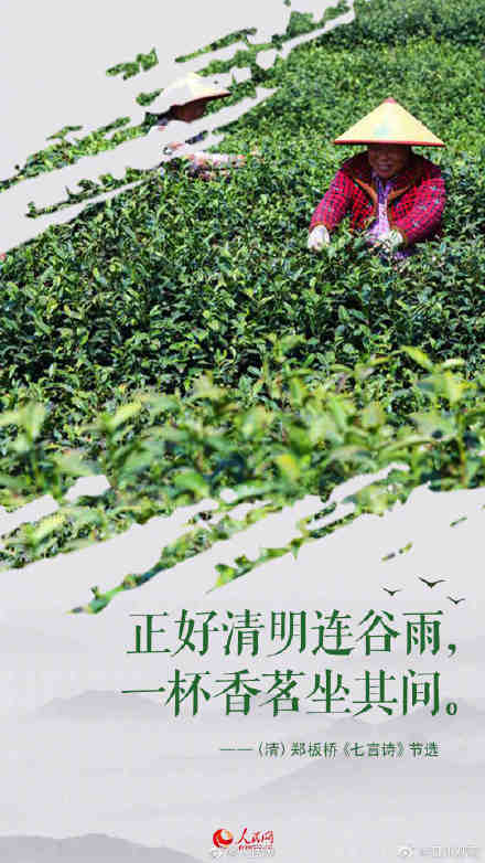 春渐远夏将至，一起来感受古诗词里的谷雨