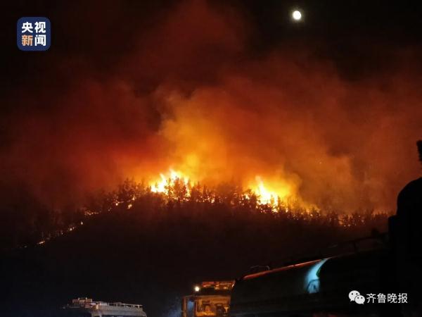 男子挖野菜丢烟头引发山火，青岛警方通报