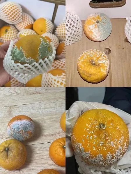 523元一份的山姆保供套餐变“盲盒”!不仅货不对板,更让人无法接受的是… 523元一份的山姆保供套餐变“盲盒”!不仅货不对板,更让人无法接受的是…