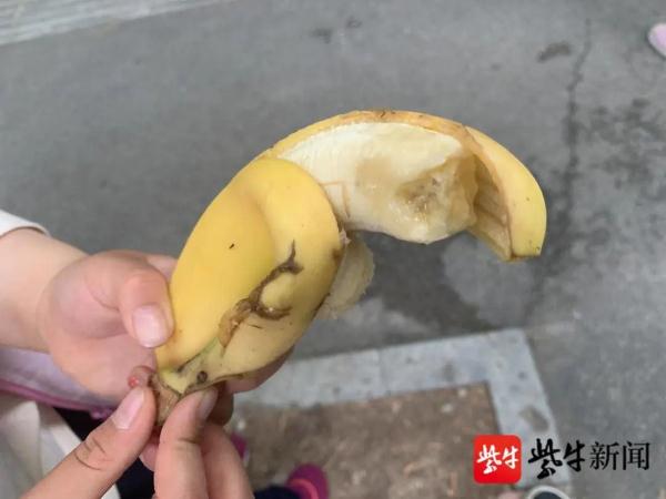 “猴哥”又现身！