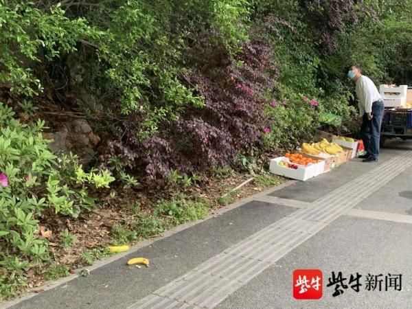 “猴哥”又现身！