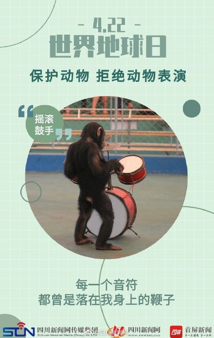 世界地球日 | 动物表演背后的真相 ,令人心疼 世界地球日 | 动物表演背后的真相 ,令人心疼