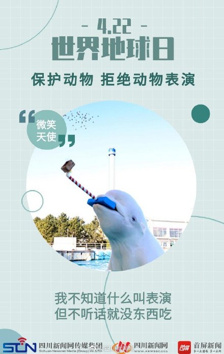世界地球日 | 动物表演背后的真相 ,令人心疼 世界地球日 | 动物表演背后的真相 ,令人心疼
