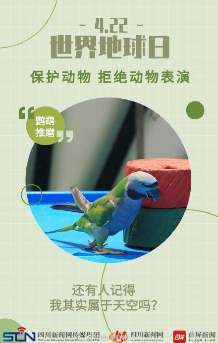 世界地球日 | 动物表演背后的真相 ,令人心疼 世界地球日 | 动物表演背后的真相 ,令人心疼