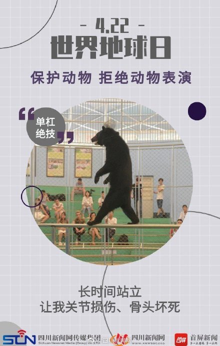 世界地球日 | 动物表演背后的真相 ,令人心疼 世界地球日 | 动物表演背后的真相 ,令人心疼