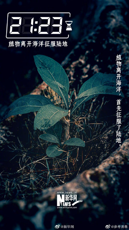 如果用24小时穿越46亿年…… 如果用24小时穿越46亿年……