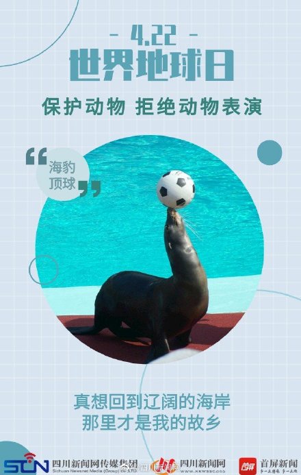 世界地球日 | 动物表演背后的真相 ,令人心疼 世界地球日 | 动物表演背后的真相 ,令人心疼