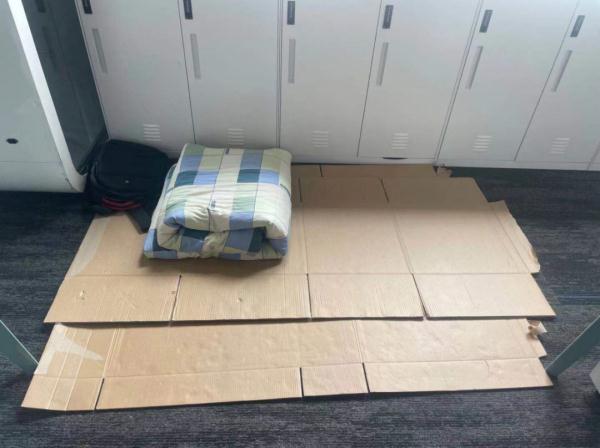 把600吨蔬菜送往上海：再远再累，终于抵达