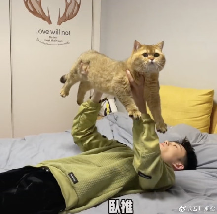 逐渐上头!果然没有一口猫粮是白吃的 逐渐上头!果然没有一口猫粮是白吃的