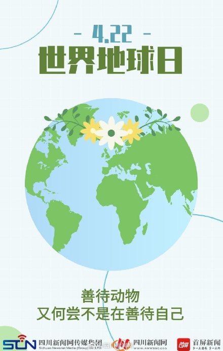 世界地球日 | 动物表演背后的真相 ,令人心疼 世界地球日 | 动物表演背后的真相 ,令人心疼