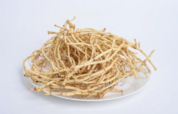 鲜嫩时是菜，晒干后能入药！4种好处多多的野菜可别错过