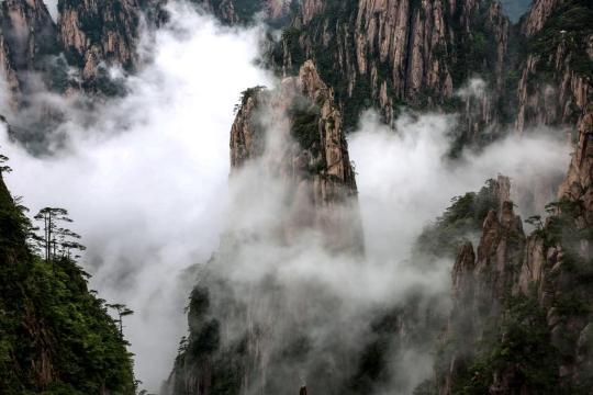 黄山松“渴”了咋办？“喝”云海