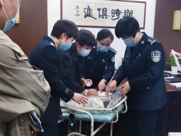 全网关注的杭州42岁独自产子孕妇,后续来了! 全网关注的杭州42岁独自产子孕妇,后续来了!