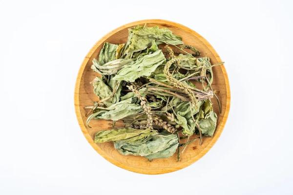 鲜嫩时是菜，晒干后能入药！4种好处多多的野菜可别错过