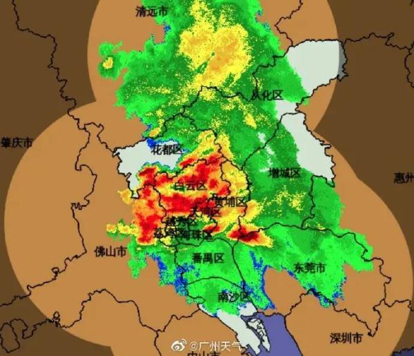 廣東五一將迎冷空氣暴雨天當心這些小飛蟲