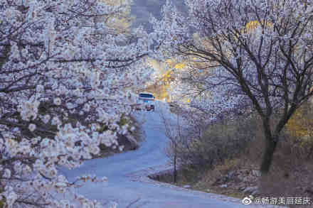 延庆假日办发布应急管理通知加强疫情防控 延庆假日办发布应急管理通知加强疫情防控