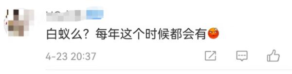 小心！这些小飞虫又成群出现！广州未来几日高温+雨雨雨…