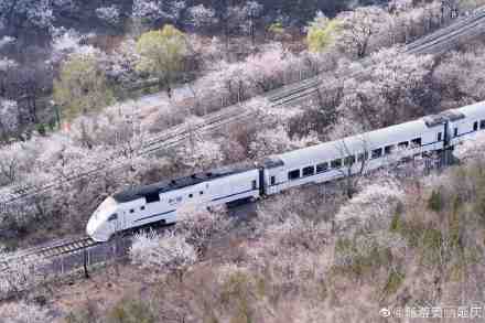 延庆假日办发布应急管理通知加强疫情防控 延庆假日办发布应急管理通知加强疫情防控