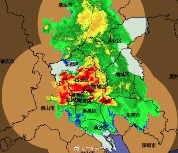 小心！这些小飞虫又成群出现！广州未来几日高温+雨雨雨…
