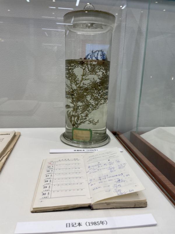 青蒿素问世50年后，“中国神草”如何继续造福世界？