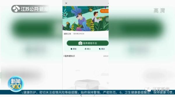 别碰别吃!这种螺进入繁殖期,体内寄生虫可高达6000条! 别碰别吃!这种螺进入繁殖期,体内寄生虫可高达6000条!