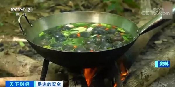 注意！误把福寿螺当田螺吃或致死