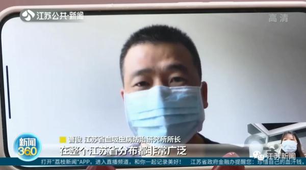 别碰别吃!这种螺进入繁殖期,体内寄生虫可高达6000条! 别碰别吃!这种螺进入繁殖期,体内寄生虫可高达6000条!