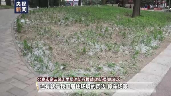 杨柳絮飘飞季，随意点燃引发火灾后果很严重！