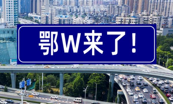 冲上热搜！网友：我想要一个鄂W88888……