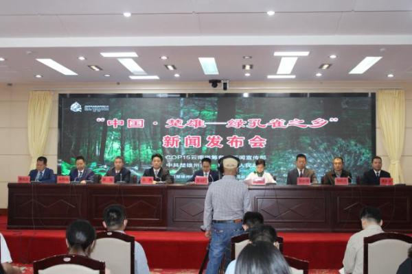 走进“绿孔雀之乡”，感受绿精灵的美！