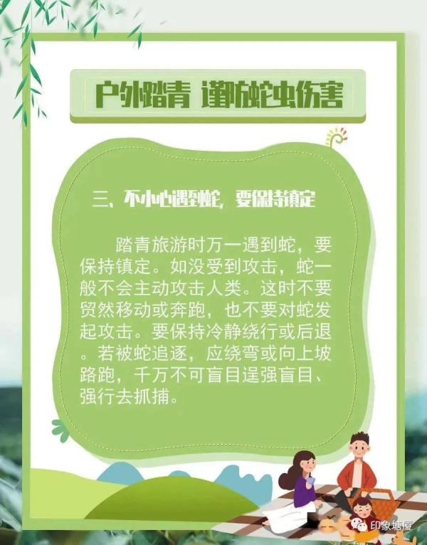 吓人！东莞一工厂有剧毒眼镜王蛇出没！