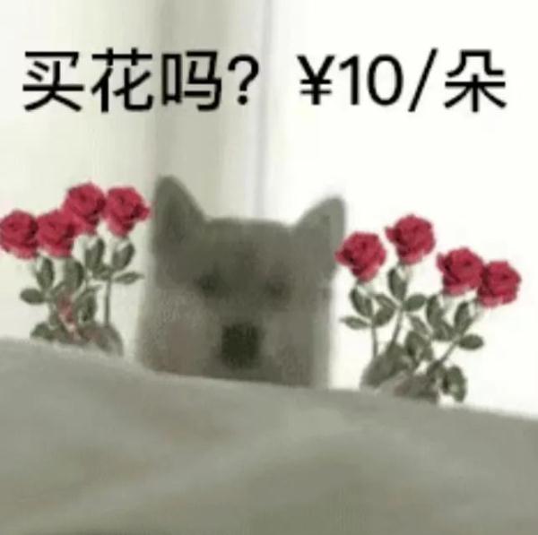 直播间买花？小心踩“坑”！