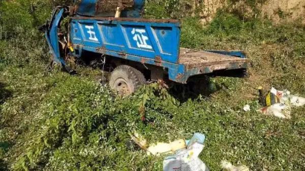 摘洋槐花引发的悲剧——农用三轮车违法载人 ，危险！危险！危险！