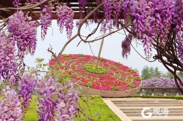 “五一”期间，这些青岛人，免费！