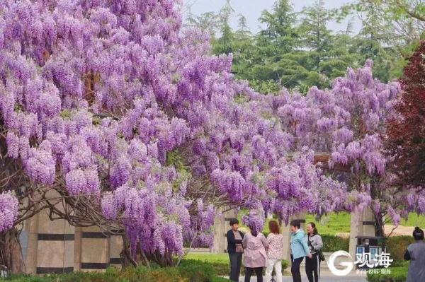 “五一”期间，这些青岛人，免费！