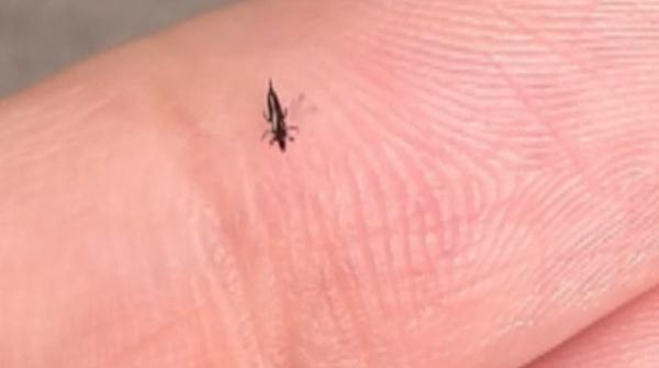 广东人注意，近期少穿这两种颜色衣服出门！