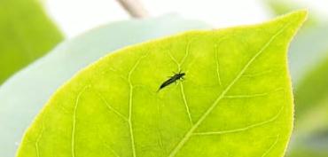 广东人注意，近期少穿这两种颜色衣服出门！