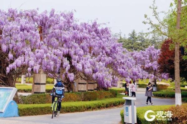 “五一”期间，这些青岛人，免费！