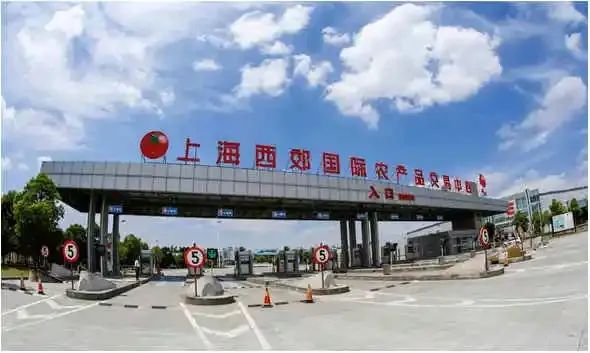 更多商超“复苏”,鲜活小龙虾、汉堡、炸鸡、咖啡馆,都在回来! 更多商超“复苏”,鲜活小龙虾、汉堡、炸鸡、咖啡馆,都在回来!