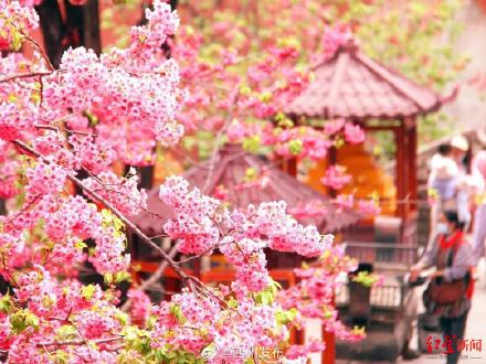 4月29日起 四川西昌泸山景区恢复正常开放接待游客