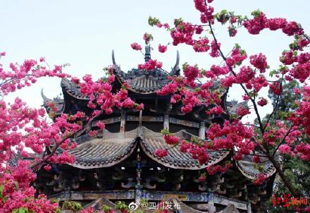 4月29日起 四川西昌泸山景区恢复正常开放接待游客