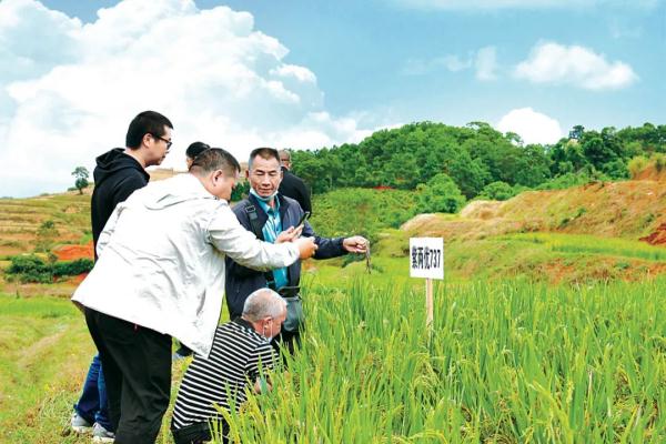 上传虚假牛圈猪圈照片骗取资金80万，巨额农资挪作他用……严查“靠农吃农”！