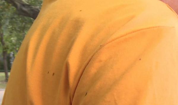 广东人注意，近期少穿这两种颜色衣服出门！