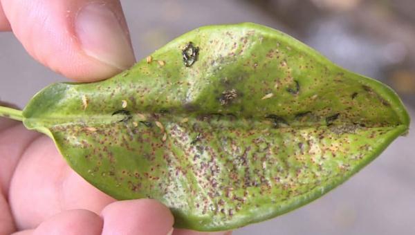 广东人注意，近期少穿这两种颜色衣服出门！