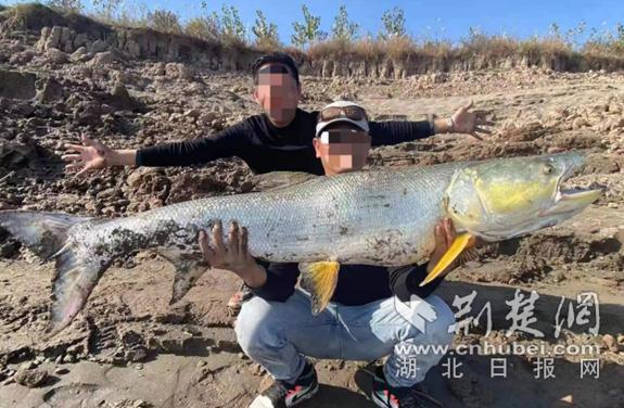 男子钓起80斤大鱼后拇指被鱼钩刺穿