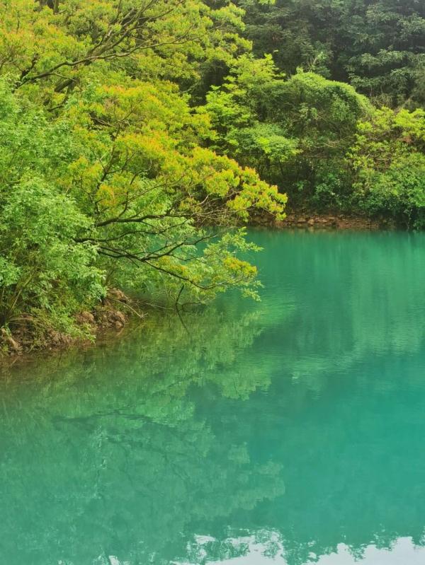 马鞍山市博望区：春路雨添花 山间春色明